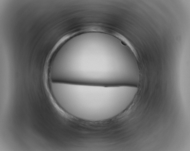 X0000114061147200910050950