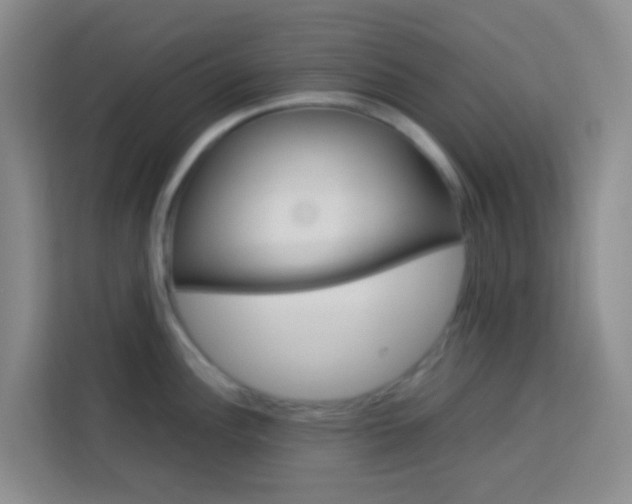 X0000114061148200910050950