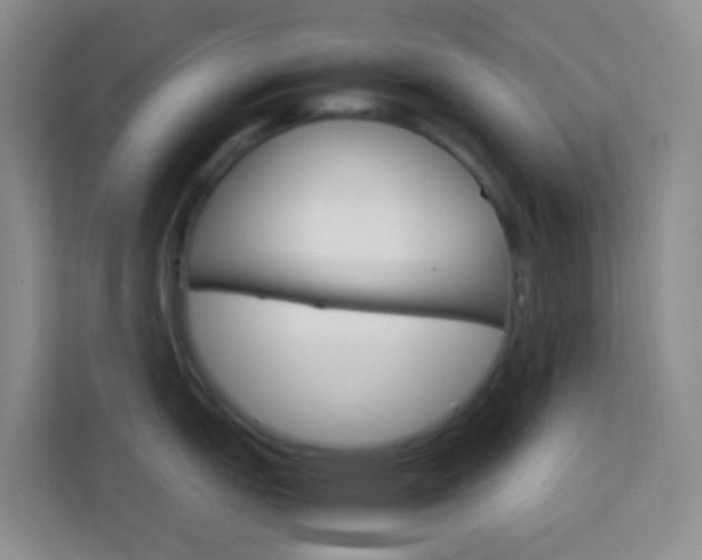X0000114061151200910050950