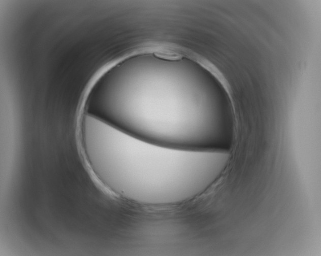 X0000114061152200910050950