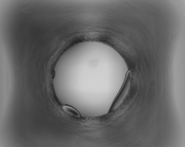 X0000114061153200910050950