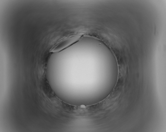 X0000114061157200910050950