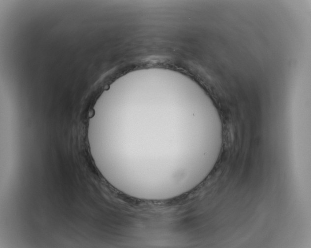 X0000114061158200910050950