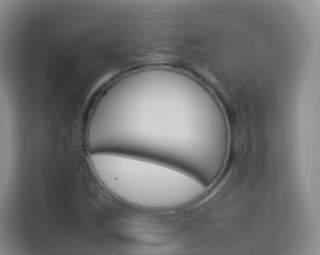 X0000114061163200910050949