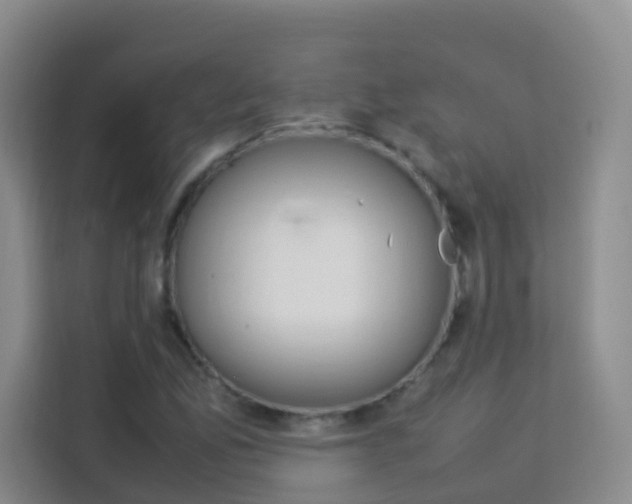 X0000114061165200910050949