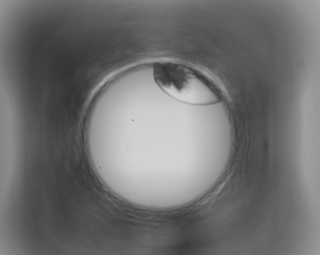 X0000114061167200910050949