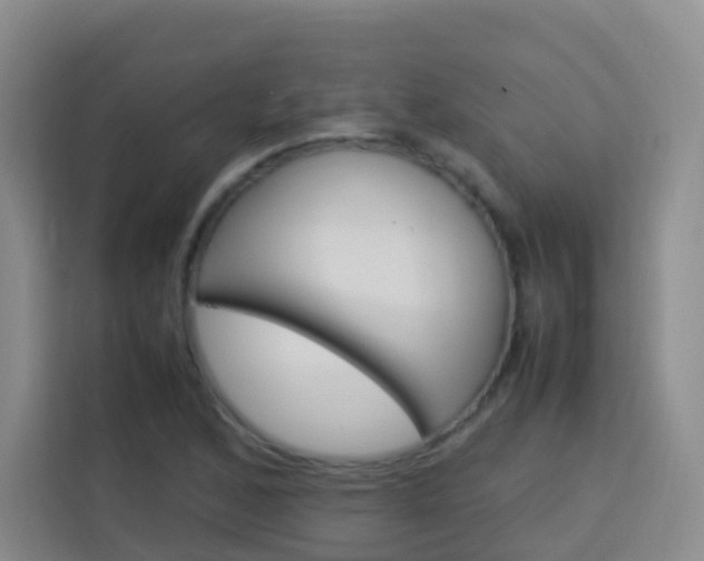 X0000114061168200910050949