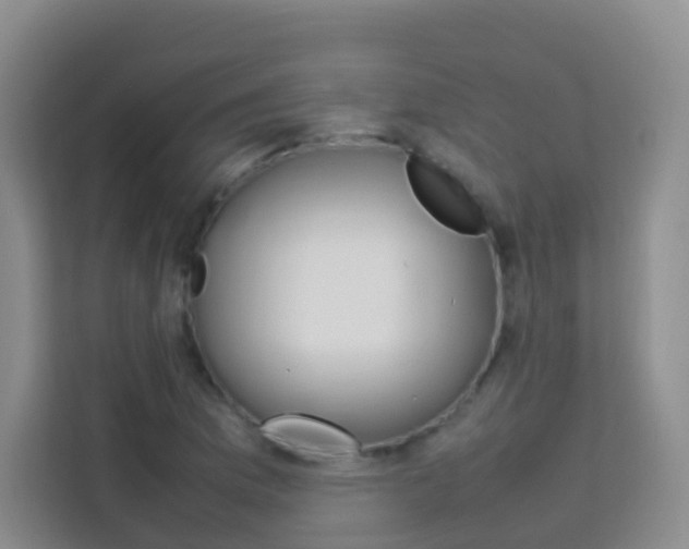 X0000114061169200910050949