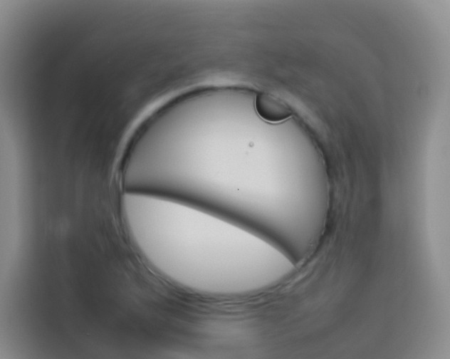 X0000114061175200910050949