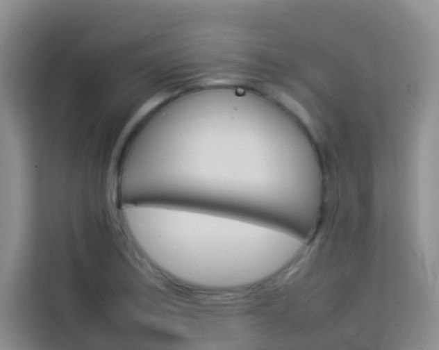 X0000114061179200910050949