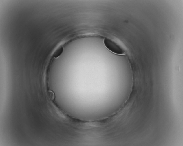X0000114061181200910050949