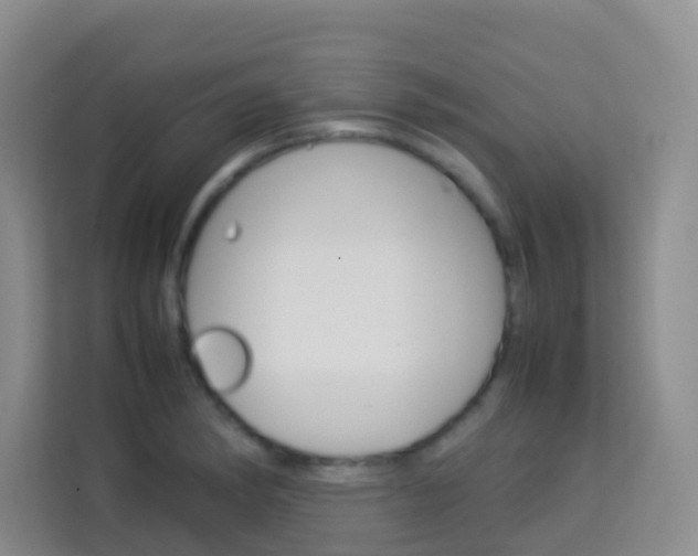 X0000114061182200910050949