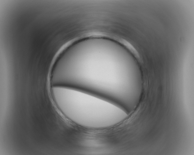X0000114061183200910050949