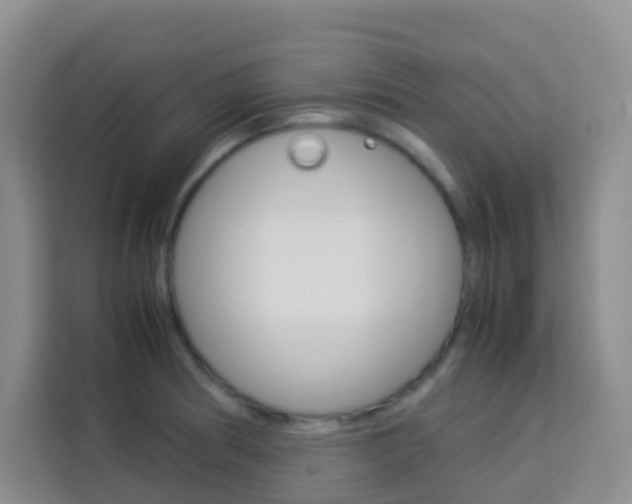 X0000114061186200910050949