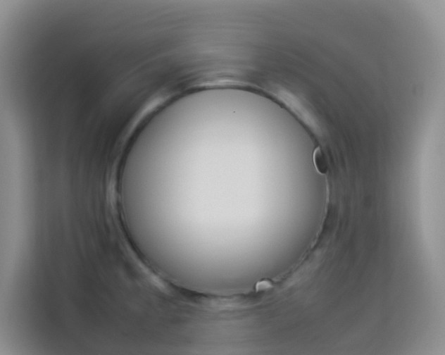 X0000114061189200910050949