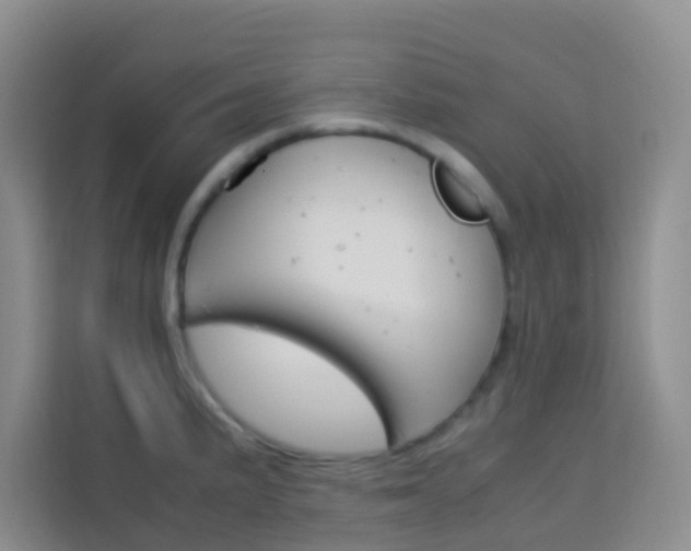 X0000114061191200910050949