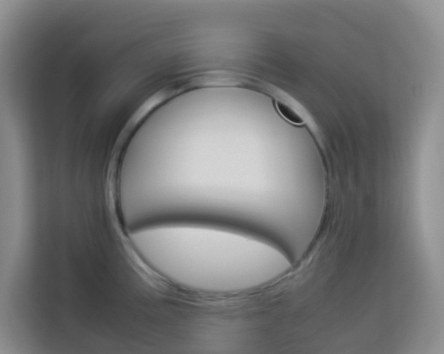 X0000114061195200910050949