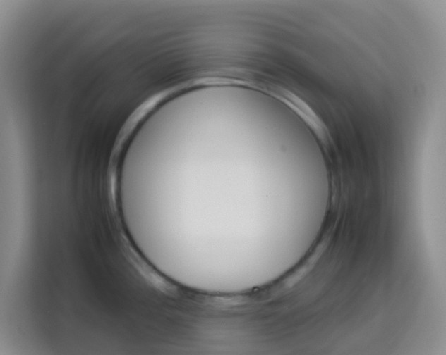 X0000114061196200910050949