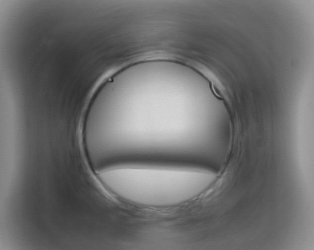 X0000114061197200910050949