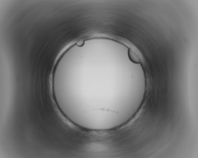X0000114061198200910050949