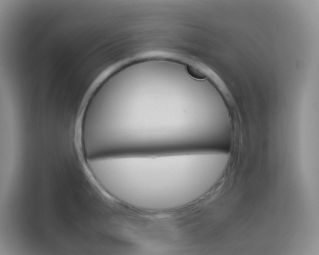 X0000114061199200910050949