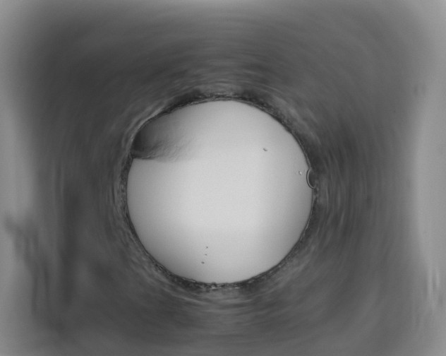 X0000114061201200910050948
