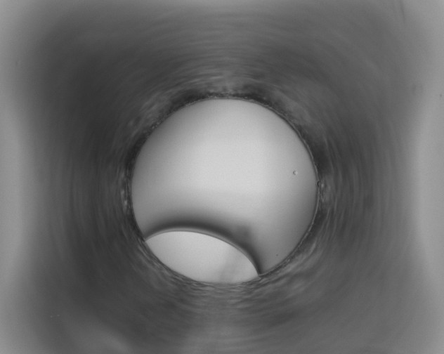 X0000114061202200910050948
