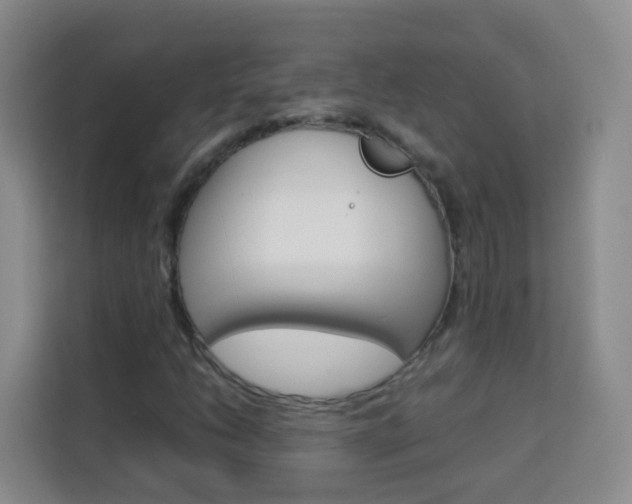 X0000114061206200910050948