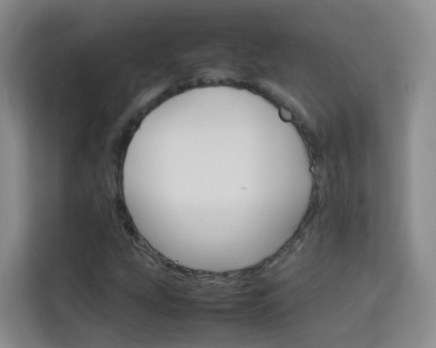 X0000114061207200910050948