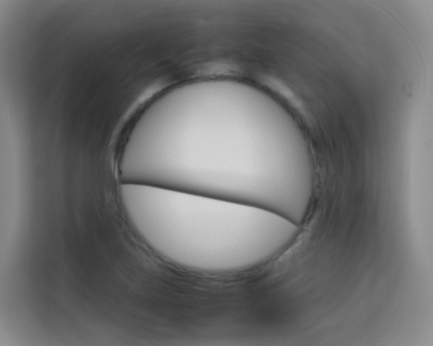 X0000114061219200910050949