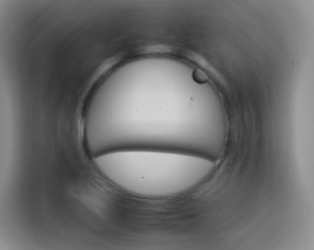 X0000114061221200910050949