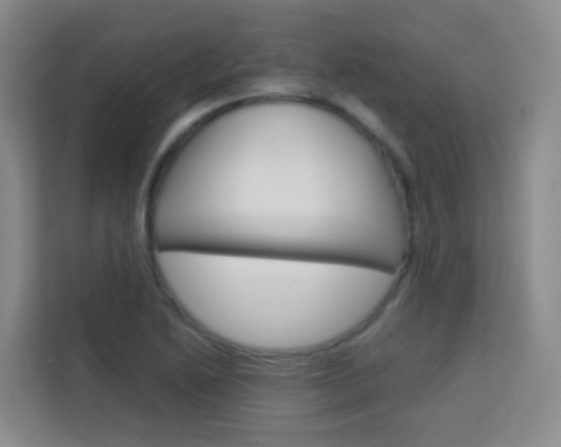 X0000114061222200910050949