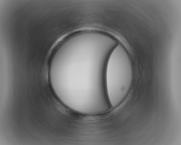 X0000114061224200910050949