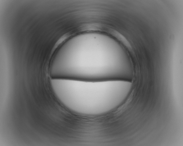 X0000114061226200910050949