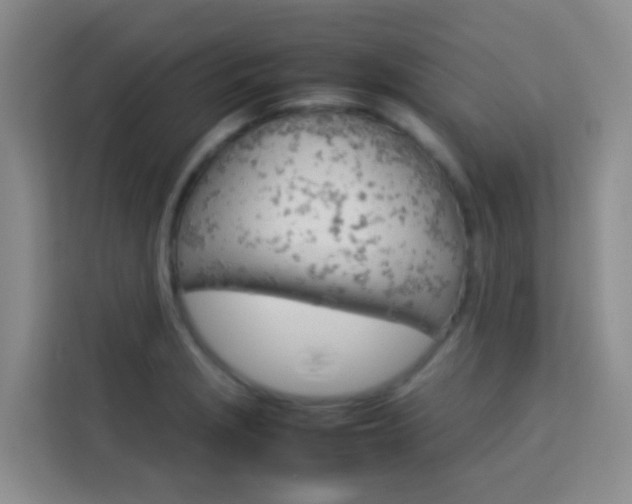X0000114061229200910050949