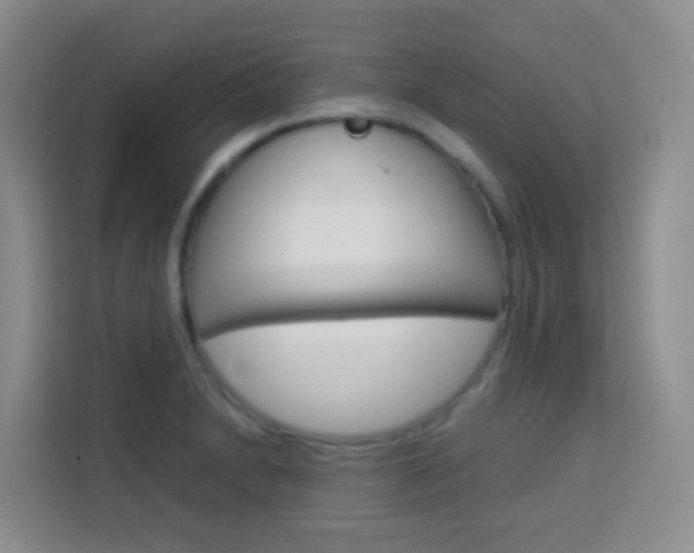 X0000114061230200910050949