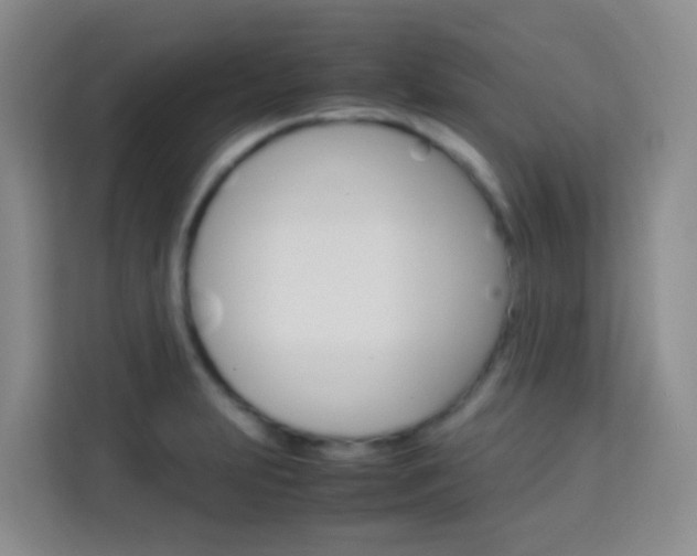 X0000114061231200910050949