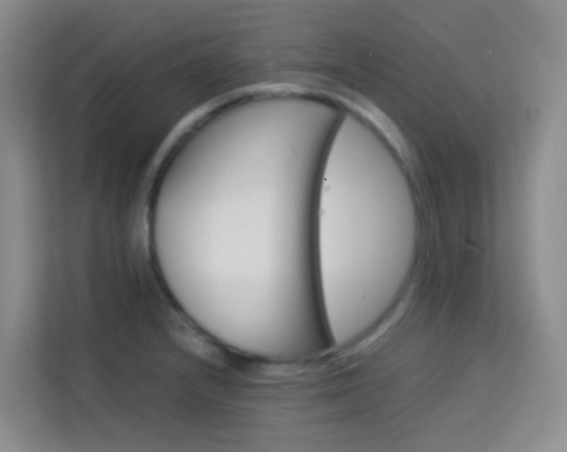 X0000114061232200910050949