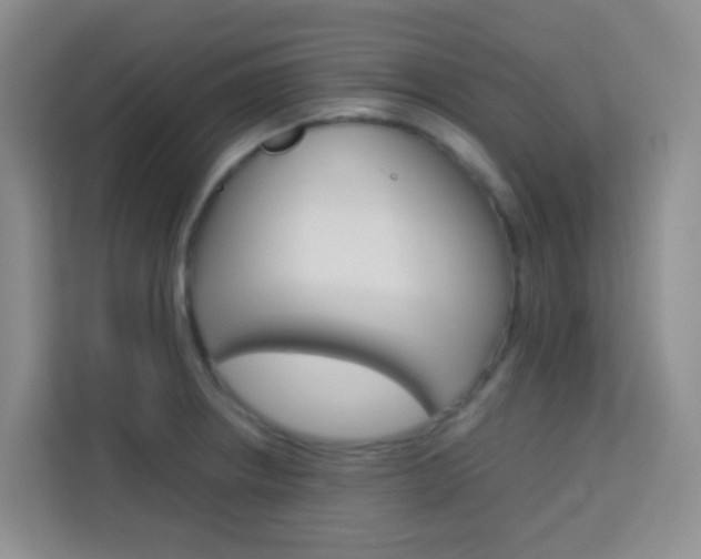 X0000114061234200910050949