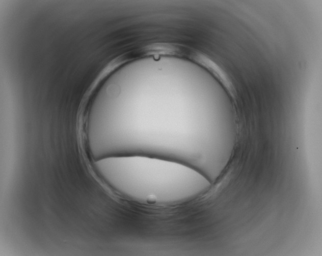 X0000114061235200910050949