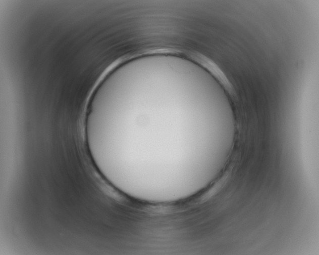 X0000114061236200910050949