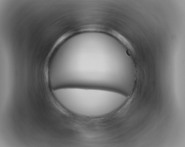X0000114061238200910050949
