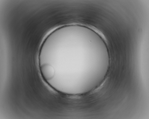 X0000114061239200910050949