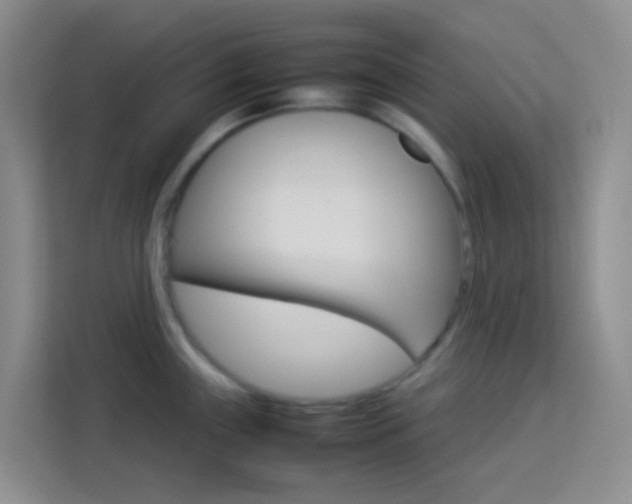 X0000114061243200910050949
