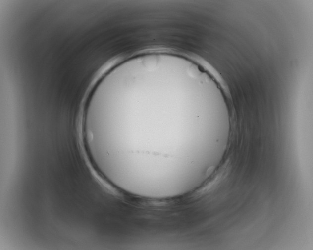 X0000114061245200910050949