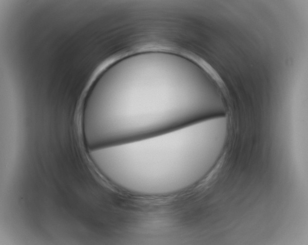 X0000114061246200910050949