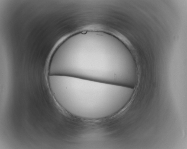 X0000114061248200910050949