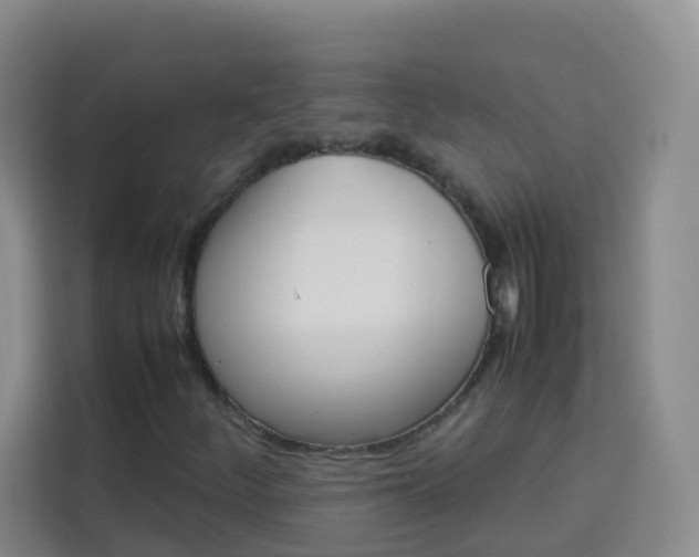 X0000114061252200910050948