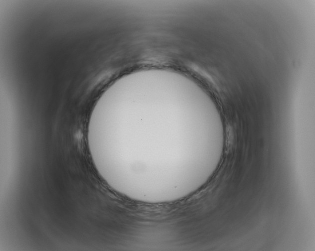 X0000114061254200910050948