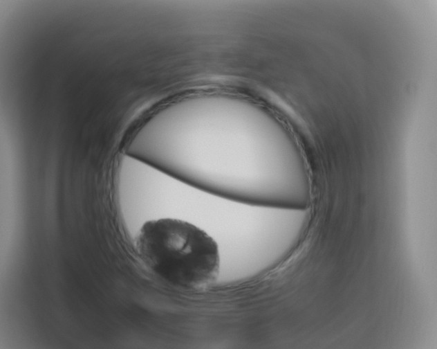 X0000114061259200910050948